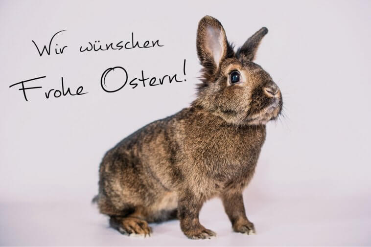 Frohe Ostern ZML